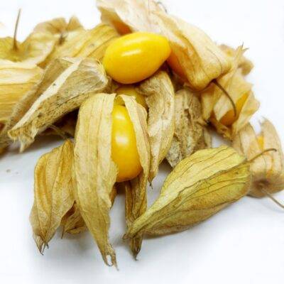 Rashbhari (Goldenberry)